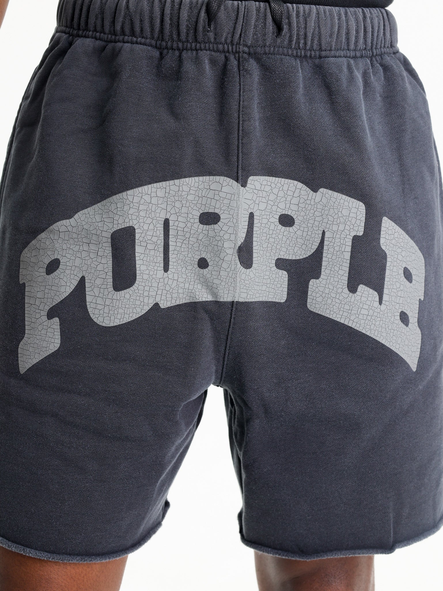 Purple Shorts MWT Fleece Black-AL Capone Premium