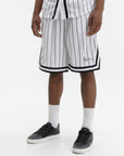 Karl Kani Shorts Pinstripe Mesh White