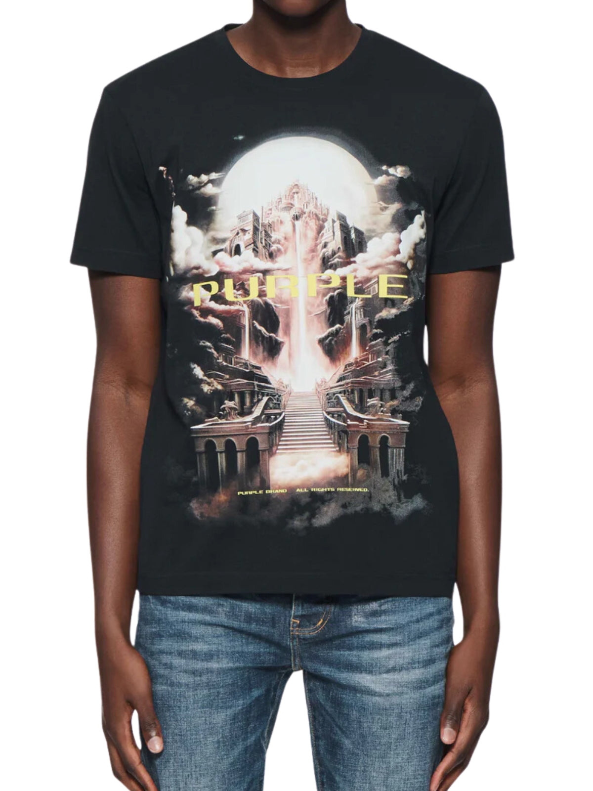 Purple T-Shirt Graphic Print Logo Black-AL Capone Premium