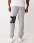 True Religion Knit Panel Tr Jogger Heather Grey