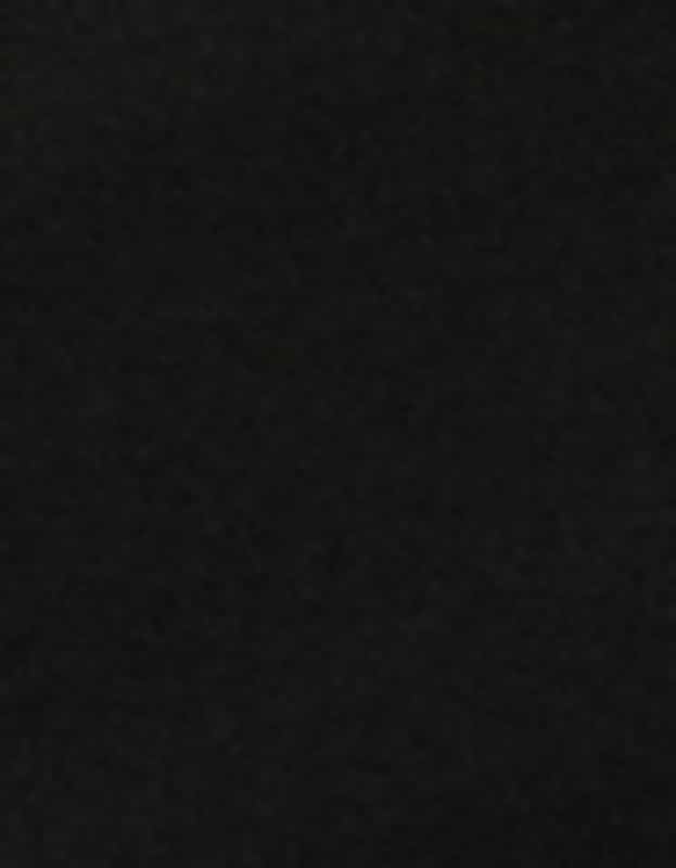 True Religion Crystal Wing V Notch Tee Jet Black