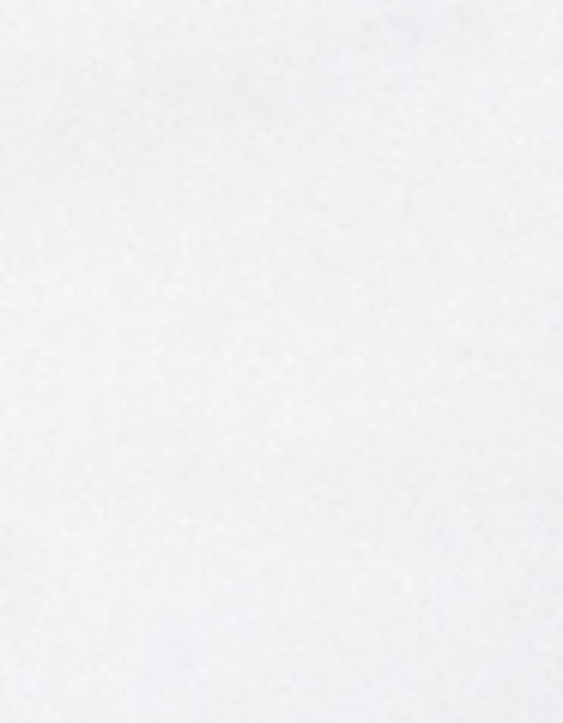 True Religion Crystal Wing V Notch Tee Optic White