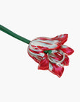 Kenzo Charm Tulip String Multi Colour