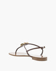 Zanotti  Sandals ZS1 Embellished Brown