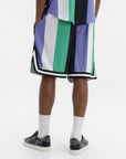 Karl Kani Shorts Stripe Multi Colour