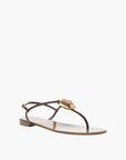 Zanotti  Sandals ZS1 Embellished Brown