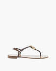 Zanotti  Sandals ZS1 Embellished Brown